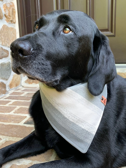 Dog Bandana Personalized Dog Gift Monogrammed Modern Trendy Fall Scarf Puppy