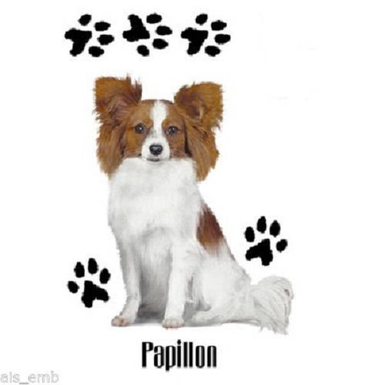 Papillon Dog T Shirt, | Sweatshirt, Hoodie Available On Request #890C