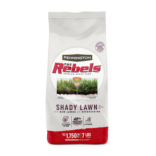 Pennington The Rebels 7-lb Mixture/Blend Grass Seed | 100543726