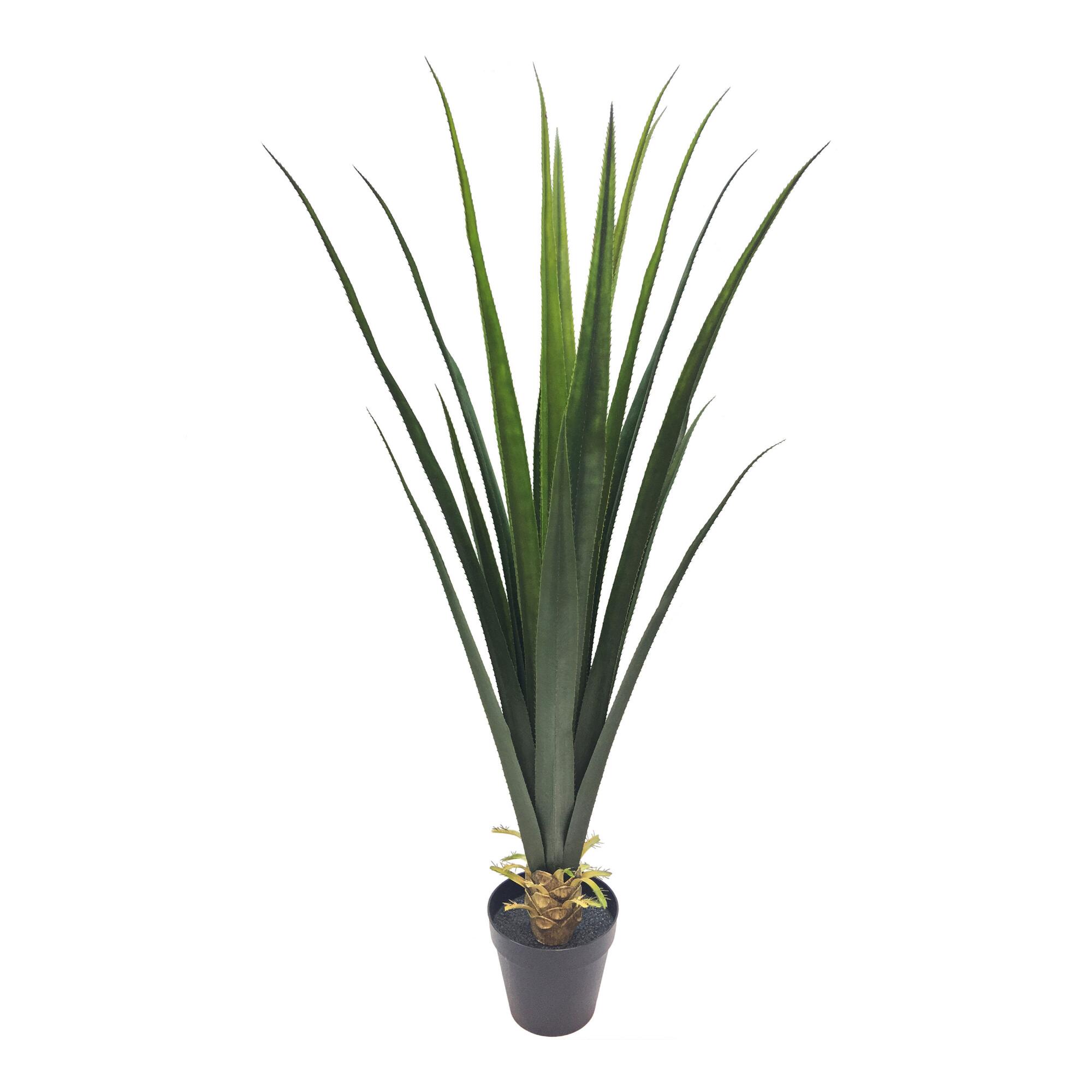 Tall Faux Agave Plant by World Market