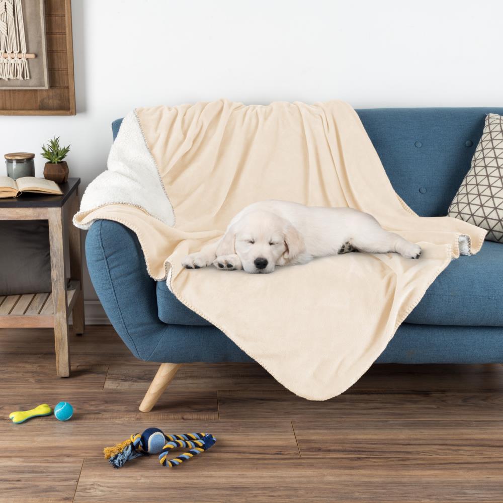 Pet Pal Pet Blankets Cream 50-in x 60-in Blend Blanket in Off-White | 193138LJK