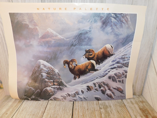 Vintage Calendar Picture Of A Rams, Rams Print, Wild Life, Home Decor, Gift, Prop, Daysgonebytreasures