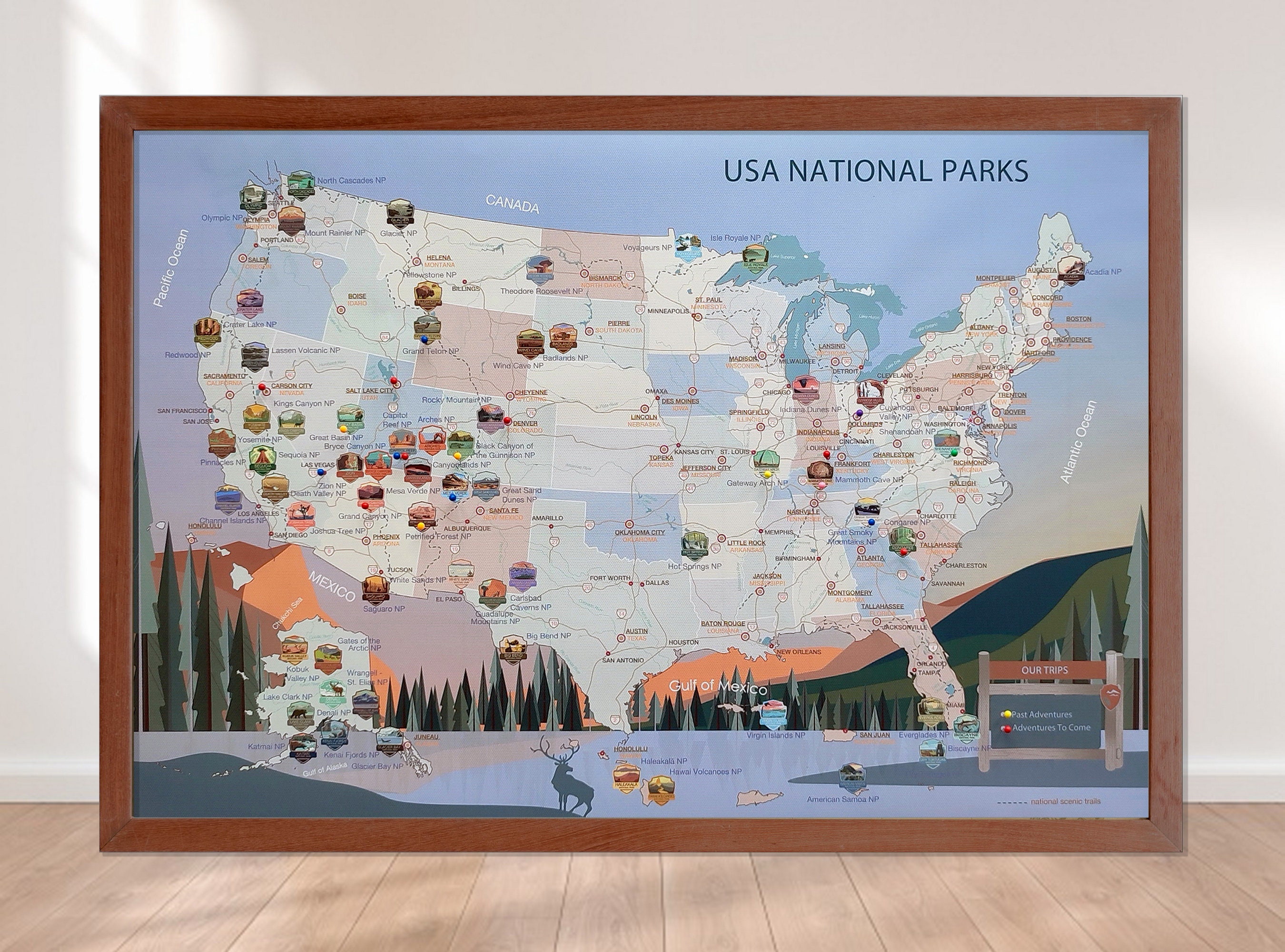 Us National Park Map, Parks Push Pin Map Usa, Parks, Gift