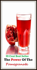 99 Cent Best Seller The Power Of The Pomegranate (Art, Theology, Ethics, Chicken Soup, Thought, Theory, Self Help, Mystery, romance, action, adventure