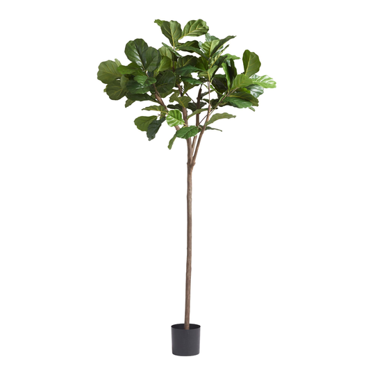 Faux Fiddle Leaf Fig Tree 72 Inch: Green by World Market