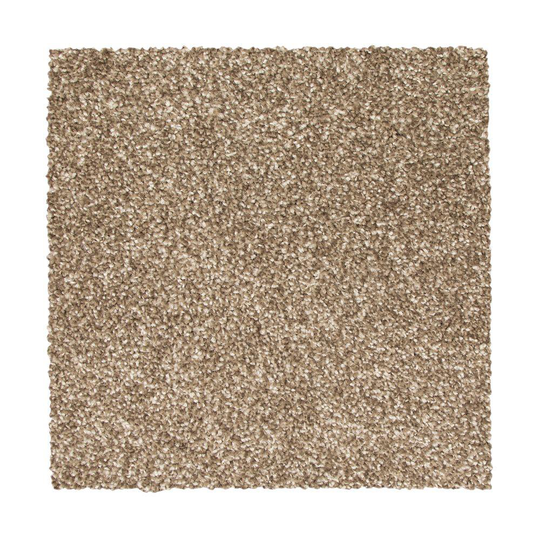 STAINMASTER Essentials Vibrant blend II Mushroom Textured Carpet Sample (Indoor) Polyester in Brown | STP33-L008-0808