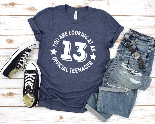 You Are Looking At An Official Teenager 13 Shirt, Birthday Shirts, Girl Or Boy Teenagers, Teen Party Shirts For Teens