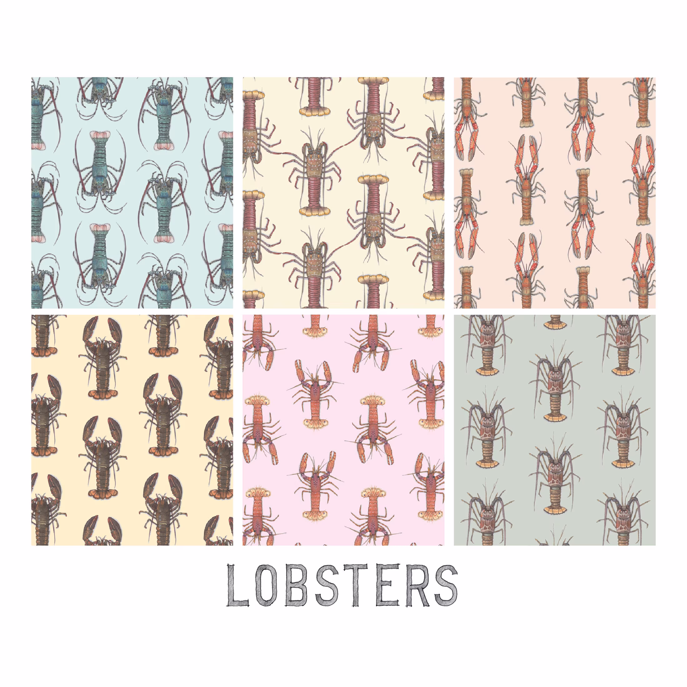 Lobsters Gift Wrap Paper | 13x19 Sheet/Birthday Holidays Scrapbooking Cooking Culinary Lobster Crustacean Seafood