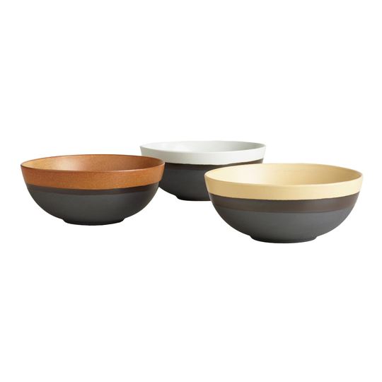 Fuji Rimmed Noodle Bowl Set Of 3: Gray/Multi - Stoneware by World Market