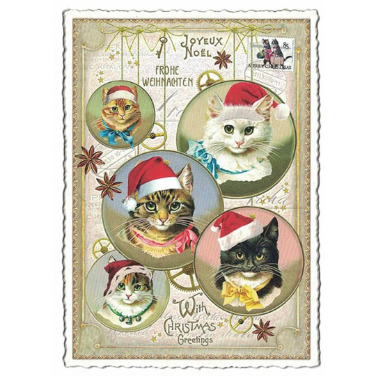 5 Germany Postcards Cats With Christmas Ornamnets Five Matching German Cards Pk866