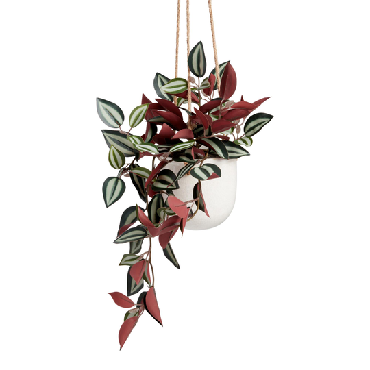 Faux Tradescantia Zebrina Plant in Hanging Pot: Multi - Plastic by World Market