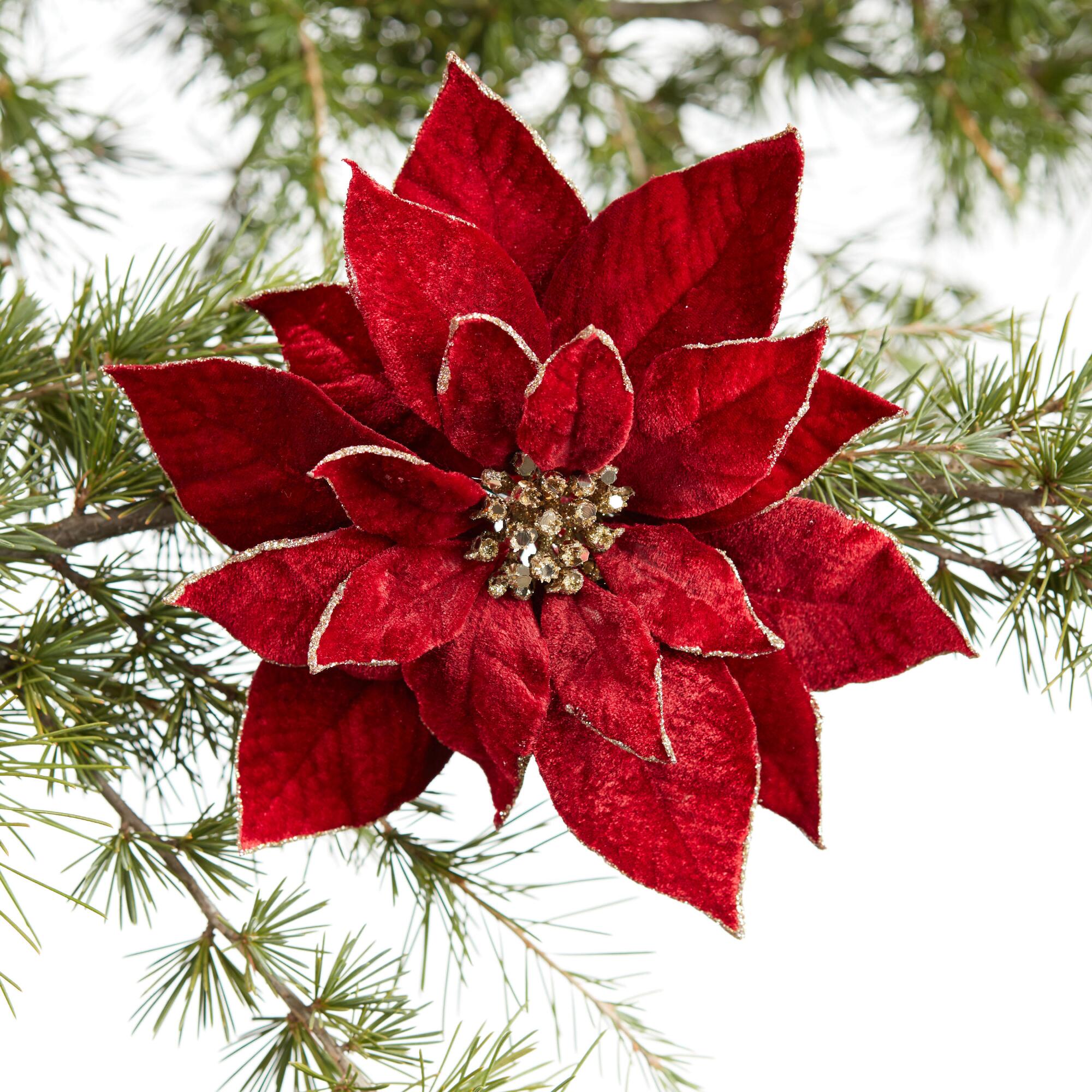 Pier Place Red Poinsettia Clip Ornament - Plastic by World Market