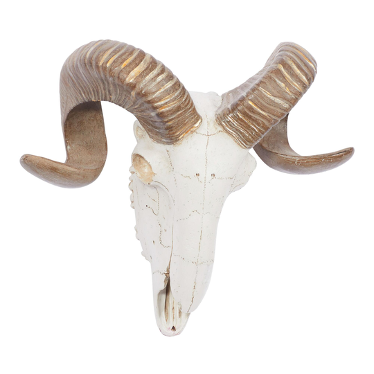 Faux Ram Skull Wall Decor: White by World Market