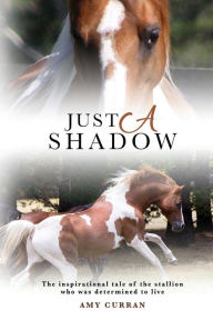 Just A Shadow Amy Curran Author