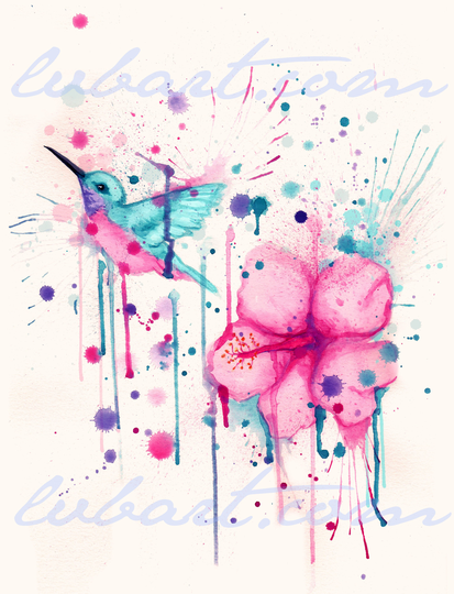 Hibiscus Hummingbird Fine Art Print Poster