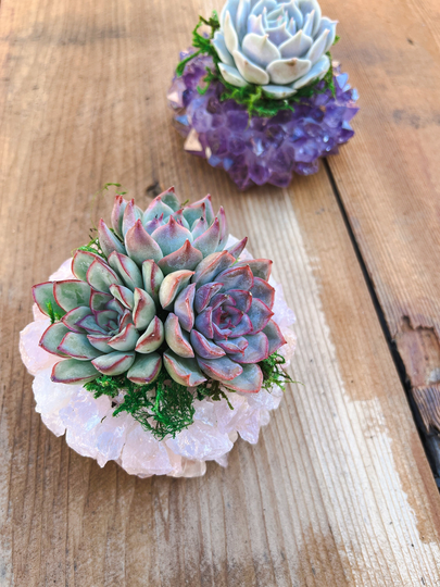 Point Rose Quartz Succulent Crystal Planter