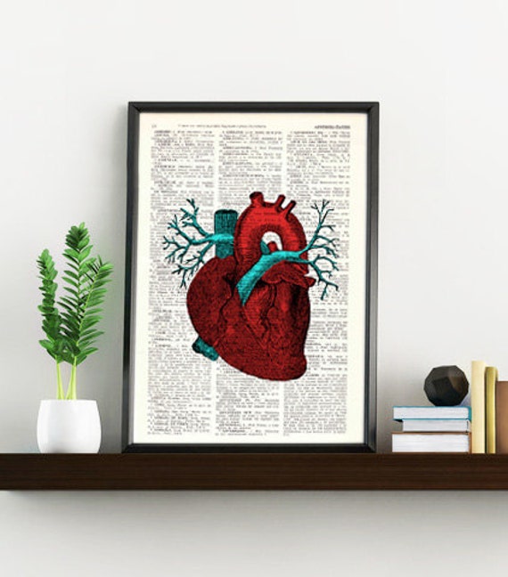 Wall Art Print Human Heart Anatomy Study Print, Medicine, Graduation Gift, Giclee Heart Study, Gift Ska057