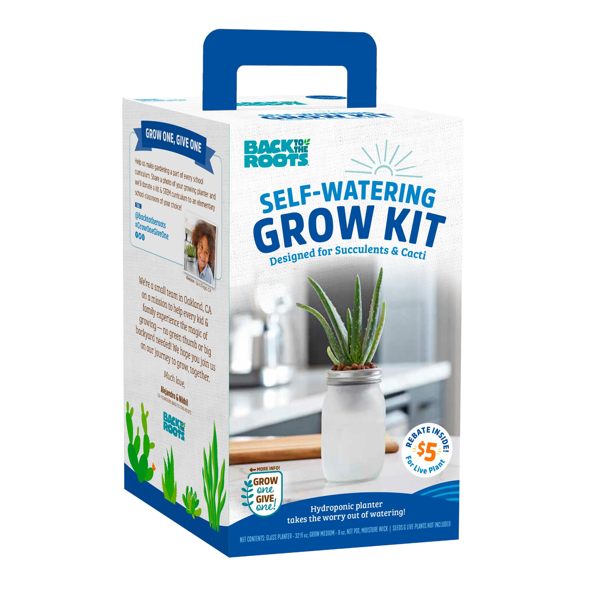 Back to the Roots Mini Succulent Self Watering Grow Kit: Multi - Bamboo by World Market