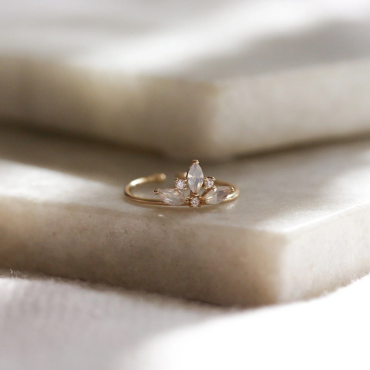 Princess Crown Ring Gold Filled