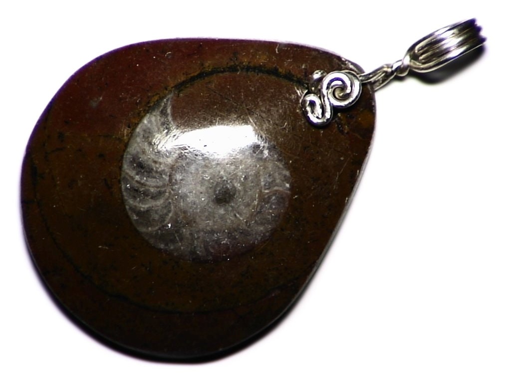 Fossil Slice Necklace, Wire Wrapped Ammonite Pendant, Snail Shell Real Genuine Jewelry, Nerdy Pendant