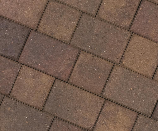 CastleLite Cobble Stone 11-in L x 8-in W x 2-in H Sonoma Blend Concrete Paver in Brown | Q030.112.911.E3