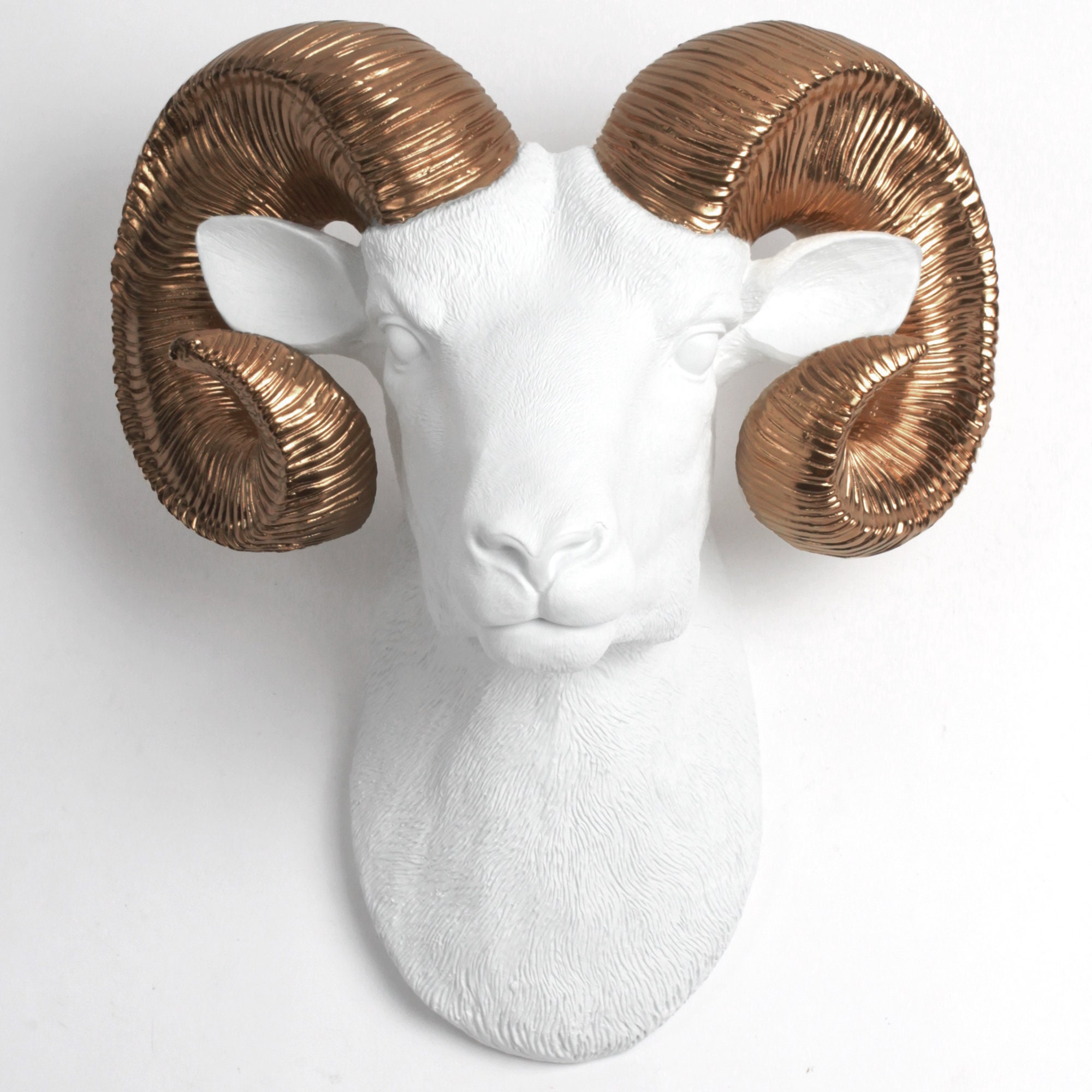 xl White Ram Head Wall Mount with Bronze Horns - The Darby Rustic Bighorn Sheep/Ram, Modern Farmhouse Home Decor By Faux Taxidermy