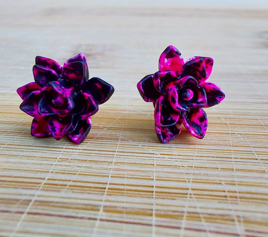 Pink Burst Succulent
