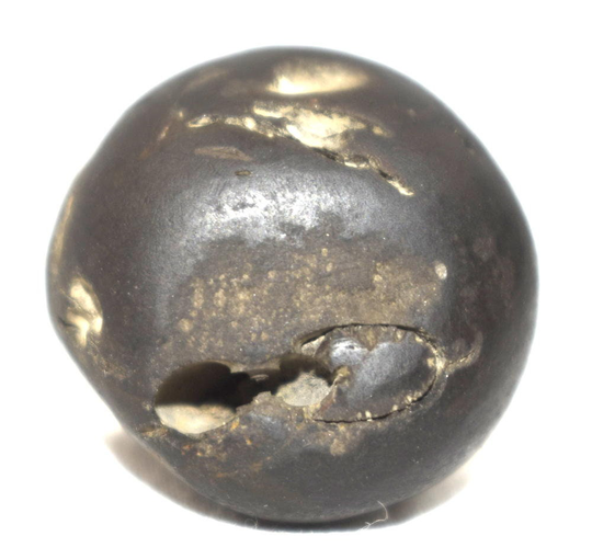 Rama Shaligram/Pattabhi Salagram - Gandaki River Nepal