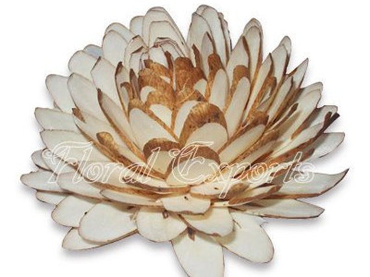 Sola Chip Dahlia Fall Peony Set Of 100 Pcs Flowers | 1 Quantity Contains Flowers