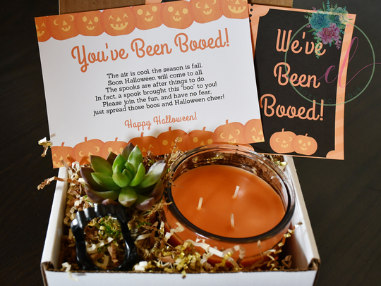 You've Been Booed Gift Box | Large Candle Succulent Care Package Halloween Fast Shipping