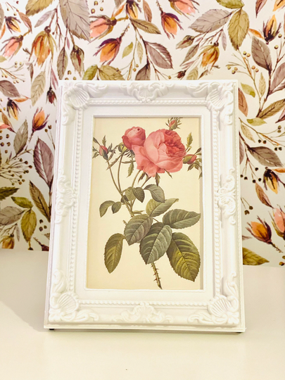 Vintage Redoute Postcard in Photo Frame, Shabby Chic Decorative French Rose Postcard, Decor, Decor