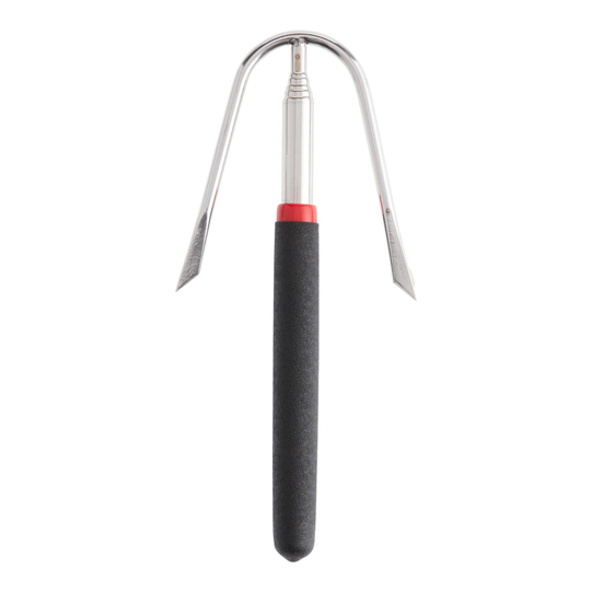 Extendable U Shaped Roasting Fork Set of 2: Silver by World Market