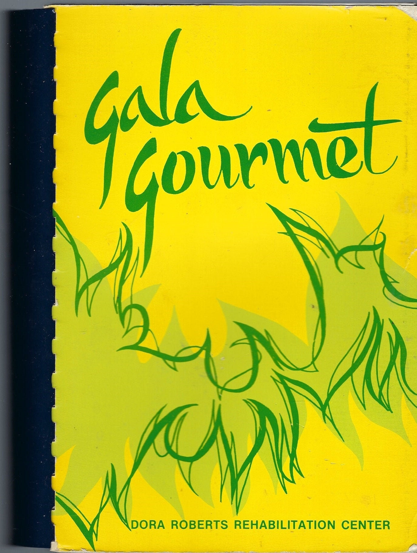 Big Spring Texas Vintage 1970S Friends Of Dora Roberts Rehab Center Gala Gourmet Cookbook Tx Community Ethnic Recipes Rare Local Cook Book