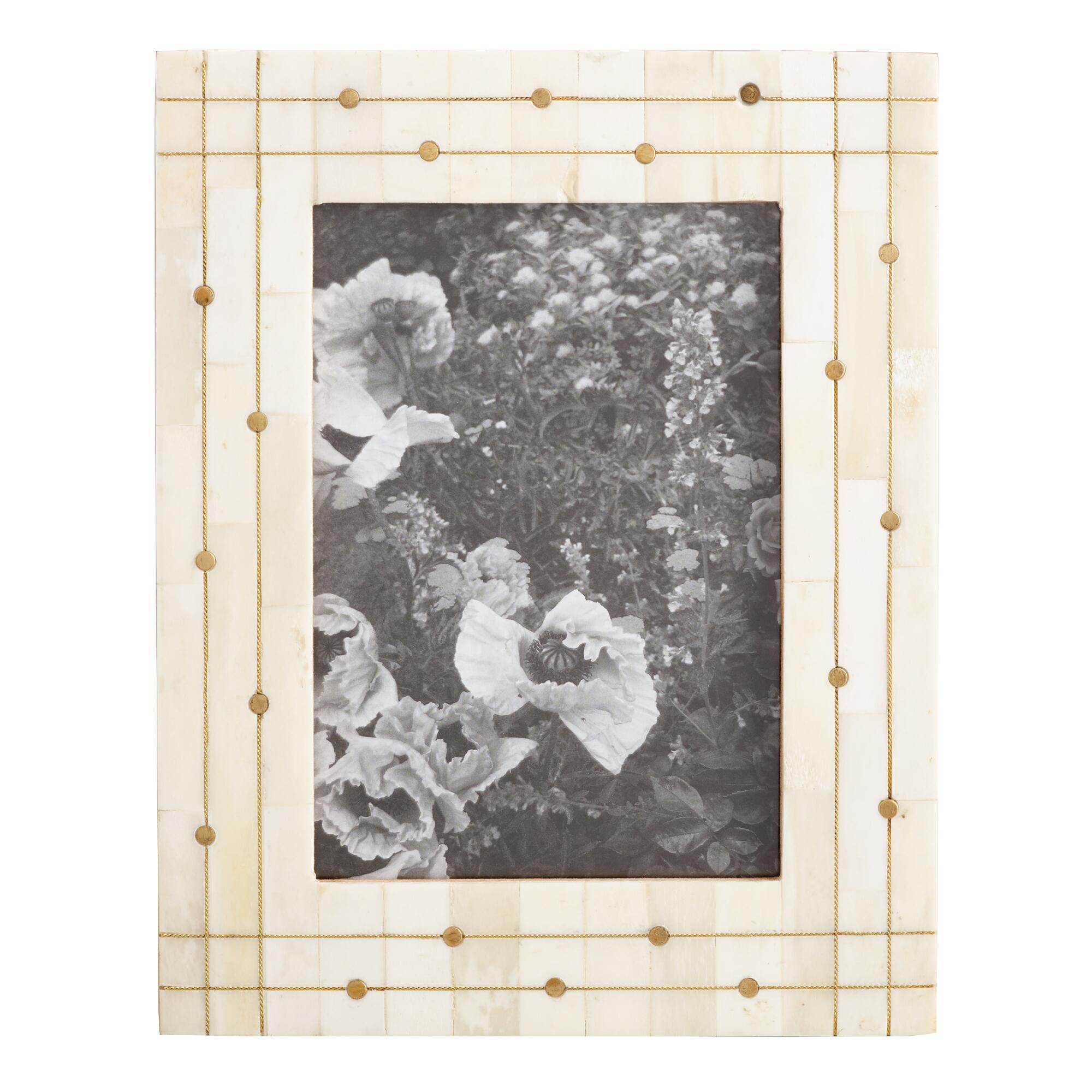 Gold Dot Inlay Bone Frame by World Market