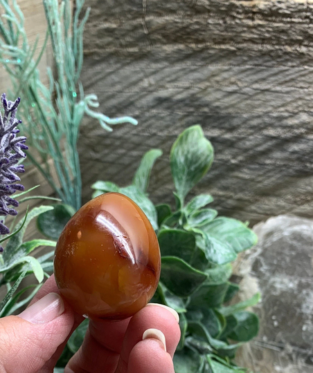 Carnelian Agate Egg Fre-0324