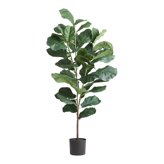 Faux Fiddle Leaf Fig Tree 60 Inch: Green - Plastic by World Market