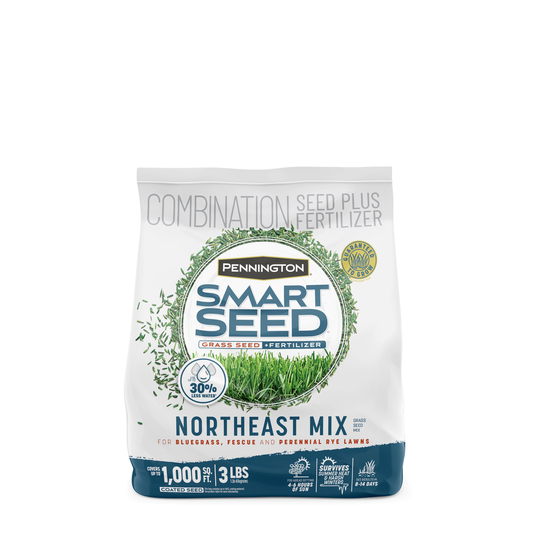Pennington Smart Seed Northeast 3-lb Mixture/Blend Grass Seed | 100543706