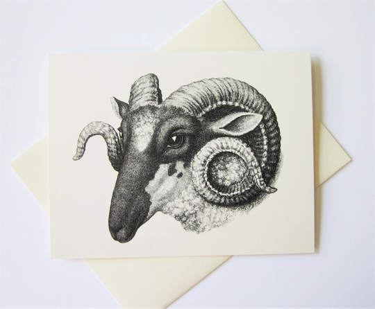 Ram Note Cards Set Of 10 With Matching Envelopes