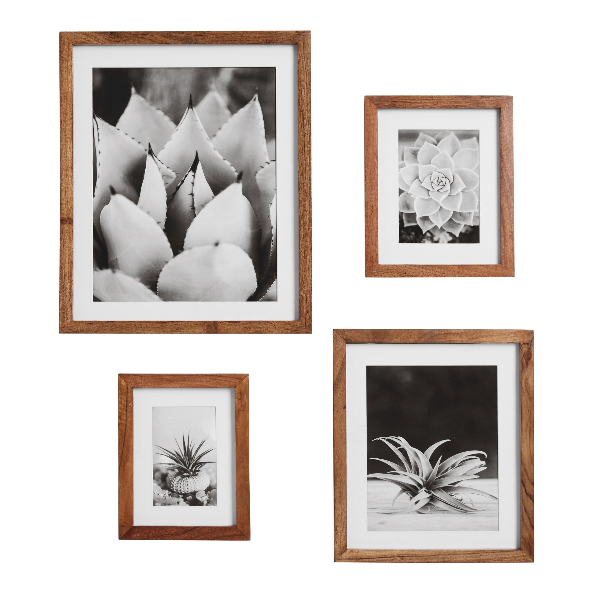 Natural Acacia Wood Wall Frame by World Market
