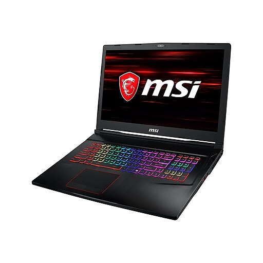 MSI GE73 Raider RGB-013 17.3" Notebook Laptop, Intel i7