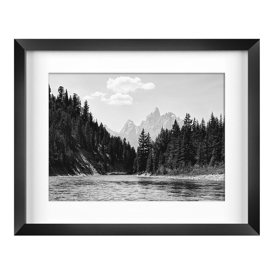 Black And White Beauty Of Nature Framed Wall Art by World Market