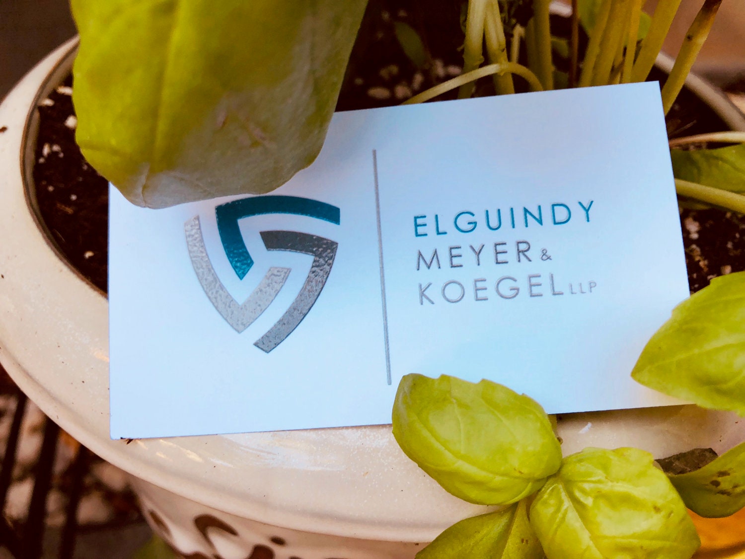 200 Business Cards - Raised Ink Or Raised Spot Uv Gloss Cards 16 Pt Silky Matte Stock Color Custom Printed Calling Visting Hang Tags