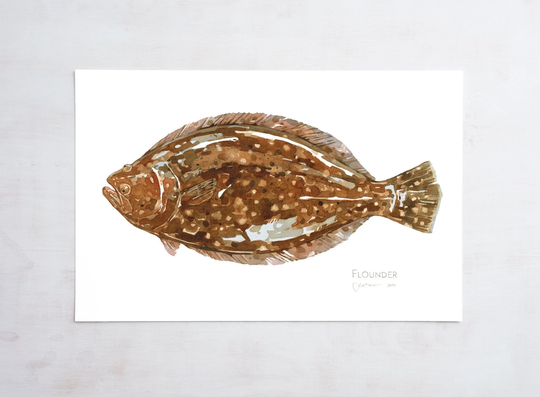 Flounder Watercolor Print, Nautical Fish Art, Coastal Decor