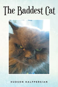 The Baddest Cat Hudson Halfpersian Author