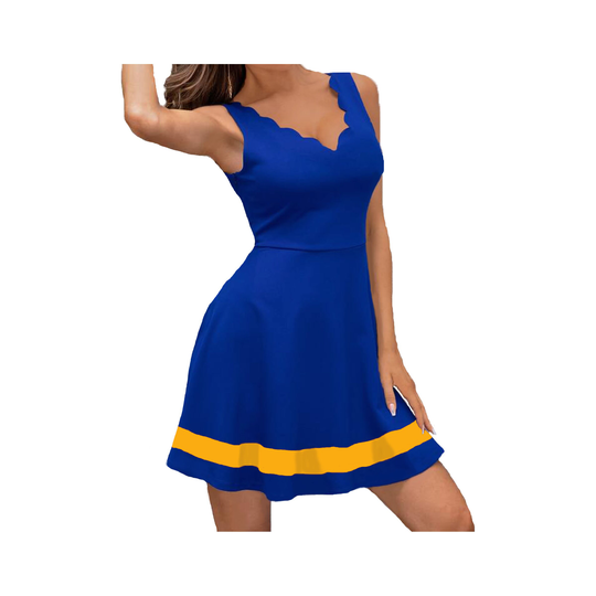 Blue & Yellow Skater Dress