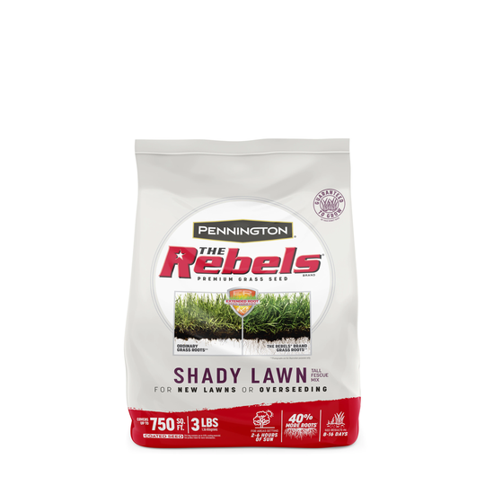 Pennington The Rebels 3-lb Mixture/Blend Grass Seed | 100543725