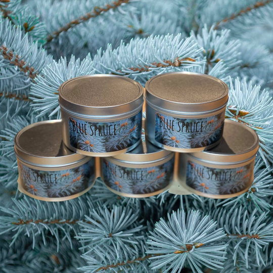 Blue Spruce, Spruce Candle, Man Woodsy Wood Manly Gifts, Pine Tree Candle, Outdoor Candles, Scented Candles