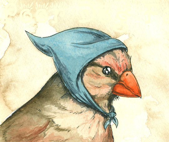 Lady Cardinal