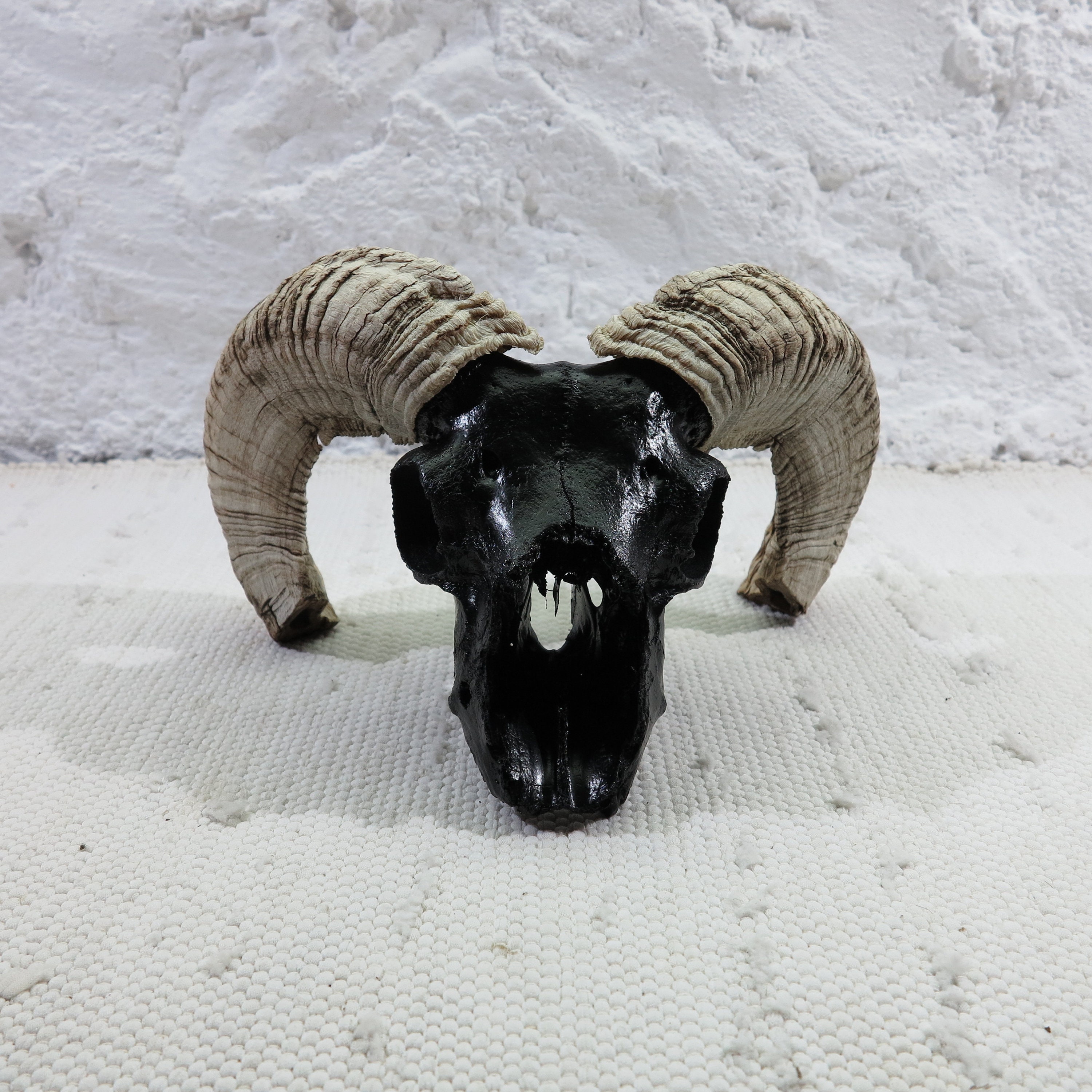 Black Ram Skull With Bizarre Horns