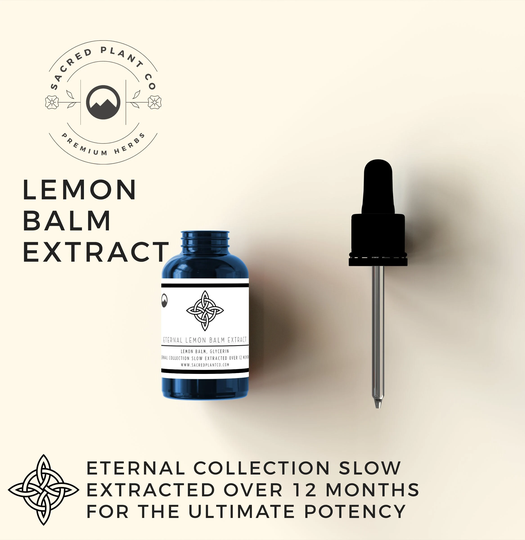 Lemon Balm Herbal Tincture | Leaf Extract Sweet Melissa